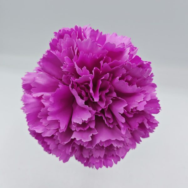 Clavel Orquidea Flamenca